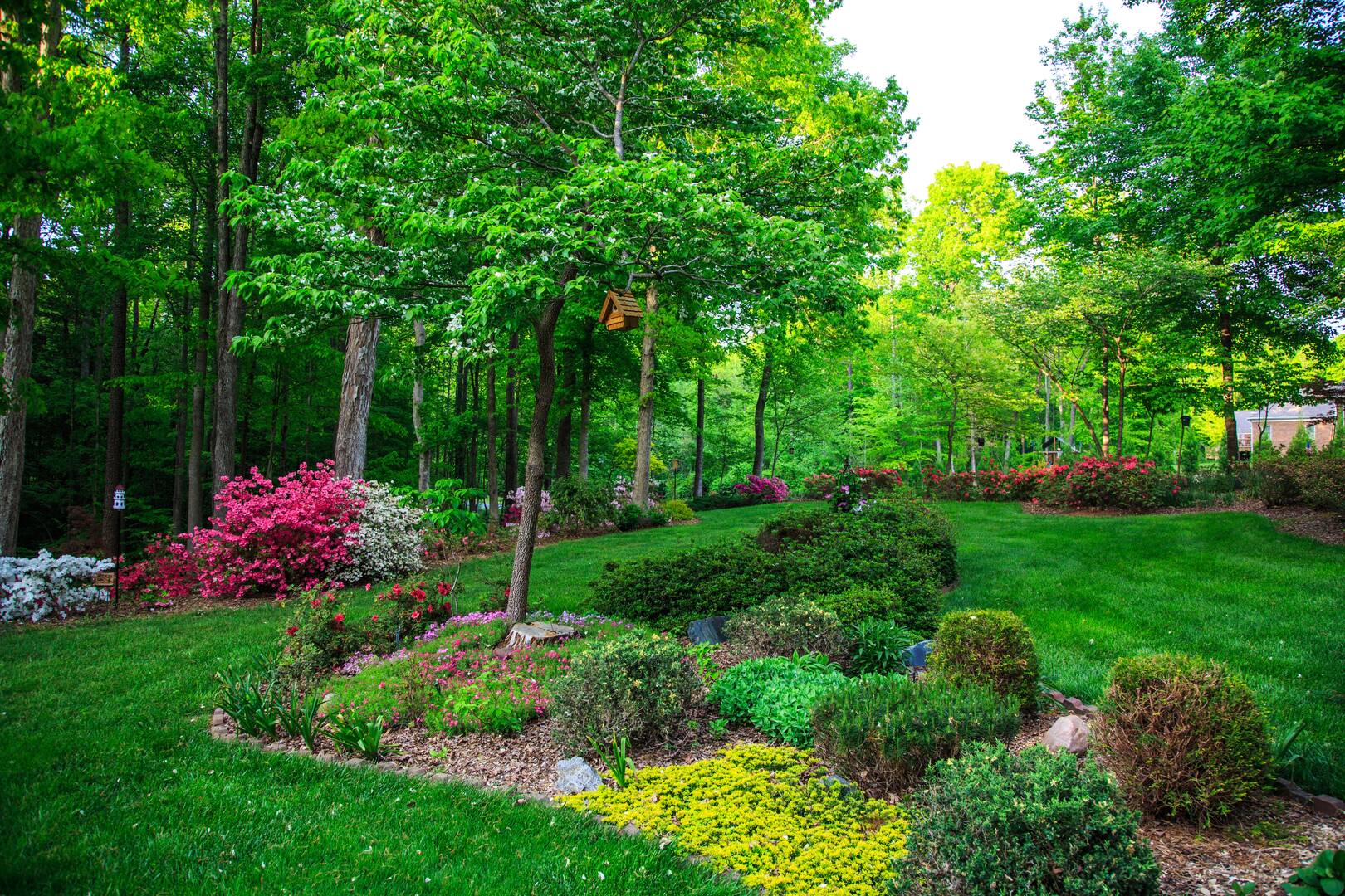 J & B Professional Tree Service, Inc